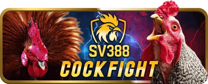 Dịch vụ hỗ trợ khách hàng 24/7 của qu88